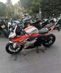 QJMOTOR SRK 250 - фото 4