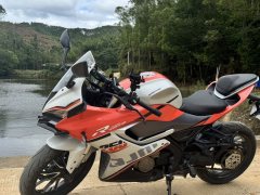 QJMOTOR SRK 250 - фото 7
