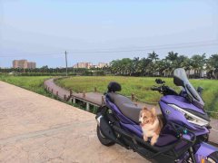 Voge SR4 Max 350 cc - фото 7