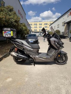 QJMOTOR Hong 250 - фото 4