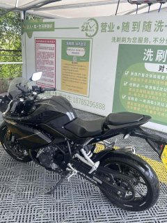 Kayo 250RR Thornbird - фото 1