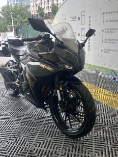 Kayo 250RR Thornbird - фото 3