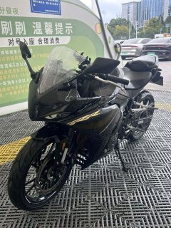 Kayo 250RR Thornbird - фото 4