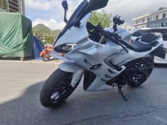 QJMOTOR SRK 250 - фото 3