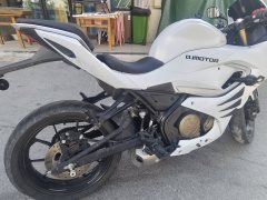 QJMOTOR SRK 250 - фото 6