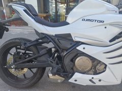 QJMOTOR SRK 250 - фото 7