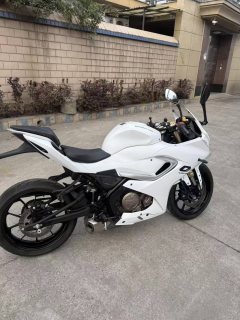 QJMOTOR SRK 250 - фото 3