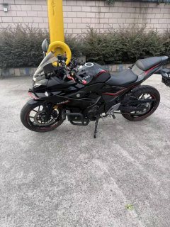 Haojue Suzuki GSX250R - фото 4