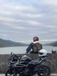 CFMOTO 250SR - фото 2