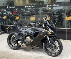 QJMOTOR SRK 250 - фото 1