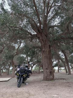 BMW R 1250 GS - фото 2