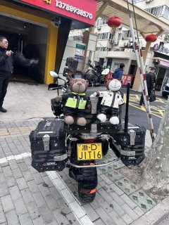 BMW R 1250 GS - фото 7