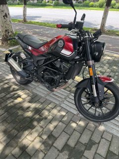Benelli Leoncino 250 - фото 4