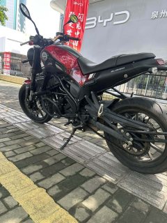 Benelli Leoncino 250 - фото 6