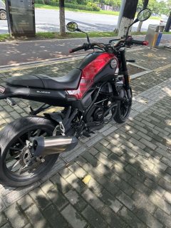 Benelli Leoncino 250 - фото 7