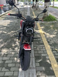 Benelli Leoncino 250 - фото 8