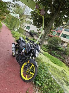 Jianshe Yamaha Feizhi YS150 - фото 1