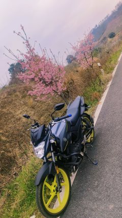 Jianshe Yamaha Feizhi YS150 - фото 3