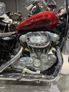 Harley-Davidson 883L SuperLow - фото 3