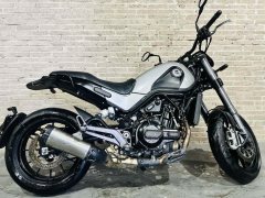 Benelli Lion Cub Leoncino 500 - фото 1