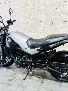 Benelli Lion Cub Leoncino 500 - фото 2