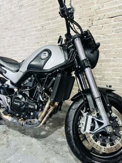 Benelli Lion Cub Leoncino 500 - фото 6