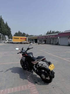 Kayo Cobra 321R 320 cc - фото 3