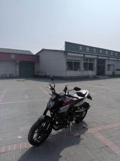 Kayo Cobra 321R 320 cc - фото 4