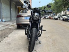 Benelli Lion Cub Leoncino 500 - фото 2
