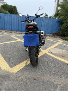 Triumph Scrambler 900 - фото 6