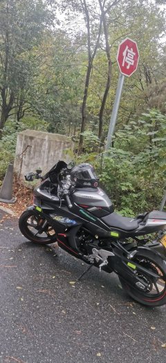 CFMOTO 450SR - фото 3