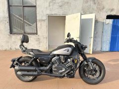 QJMOTOR Shan 600 560 cc - фото 9