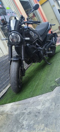 Benelli Lion Cub Leoncino 500 - фото 1