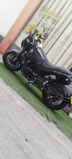 Benelli Lion Cub Leoncino 500 - фото 3
