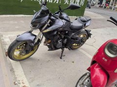 QJMOTOR Chase 350 - фото 2