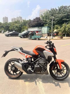 Kayo Cobra 321R 320 cc - фото 1