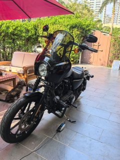 Harley-Davidson Iron883 Tough Guy - фото 10