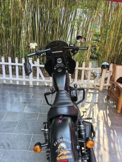 Harley-Davidson Iron883 Tough Guy - фото 6
