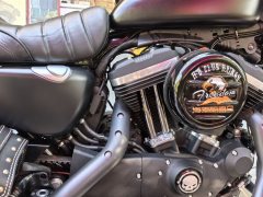 Harley-Davidson Iron883 Tough Guy - фото 8