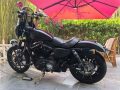 Harley-Davidson Iron883 Tough Guy - фото 9