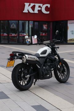 Honda CL300 - фото 2