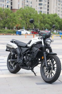Honda CL300 - фото 7