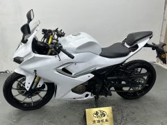 QJMOTOR 250 - фото 2