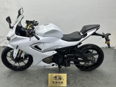 QJMOTOR 250 - фото 3