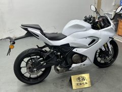QJMOTOR 250 - фото 6
