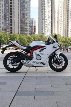 Kayo 450RR - фото 4