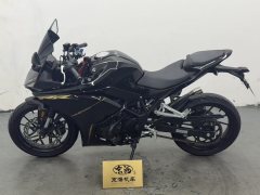 Kayo 250RR - фото 3