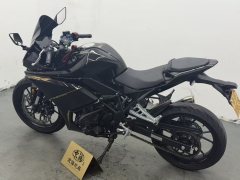 Kayo 250RR - фото 4