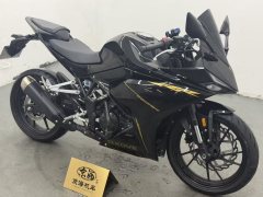 Kayo 250RR - фото 6