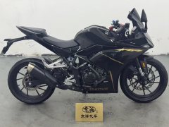 Kayo 250RR - фото 7